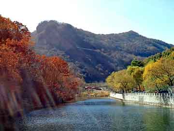 管家婆黑白马报图库，氟化钠生产厂家